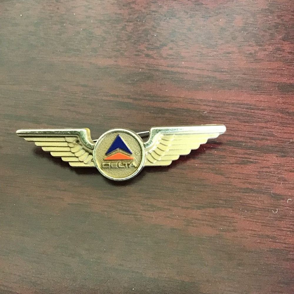 Pilot wings  